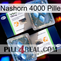 Rhino 4000 Pill viagra5